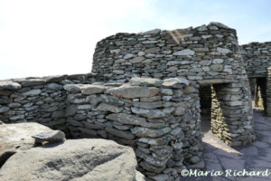 Beehive huts