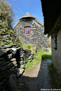 Another famine era cottage